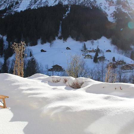 Chalet Pfingsteggblick Grindelwald Exteriör bild