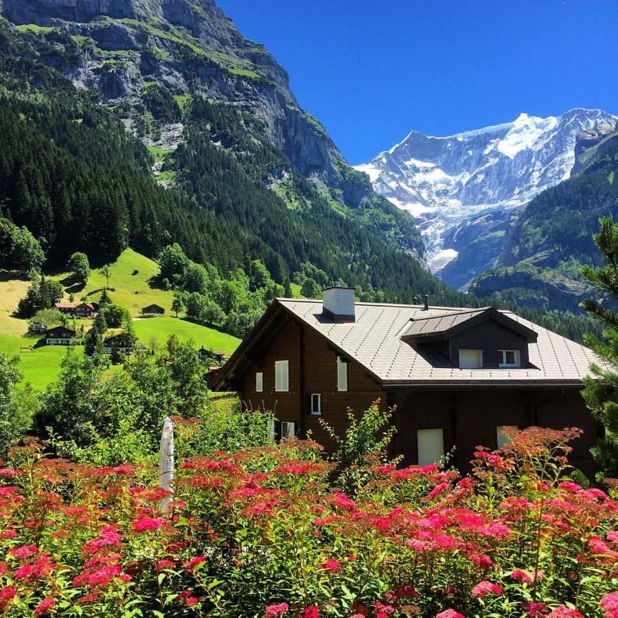 Chalet Pfingsteggblick Grindelwald Exteriör bild