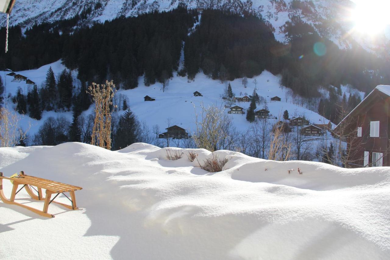 Chalet Pfingsteggblick Grindelwald Exteriör bild