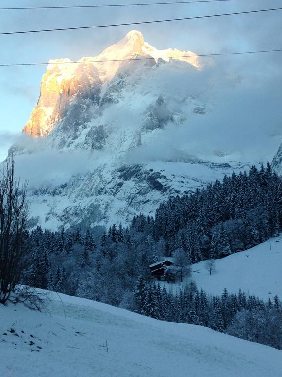 Chalet Pfingsteggblick Grindelwald Exteriör bild