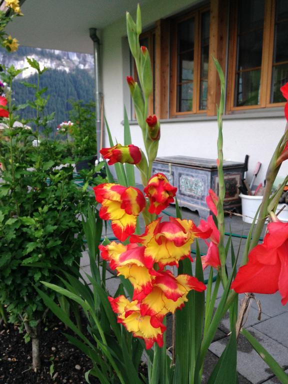 Chalet Pfingsteggblick Grindelwald Exteriör bild