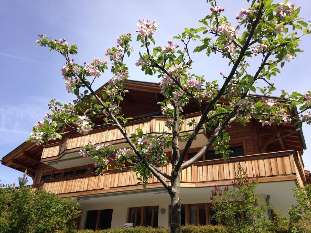 Chalet Pfingsteggblick Grindelwald Exteriör bild